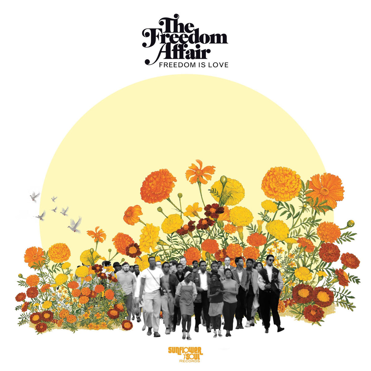The Freedom Affair – Freedom Is Love vinyl cover