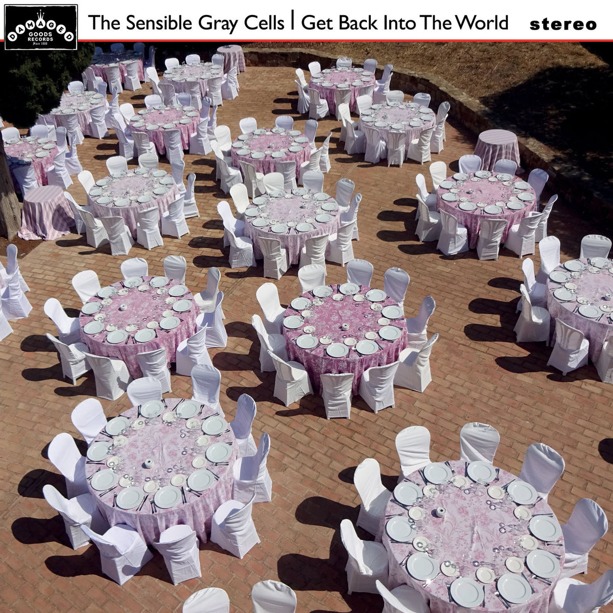 The Sensible Gray Cells – Get Back Into the World vinyl record cover