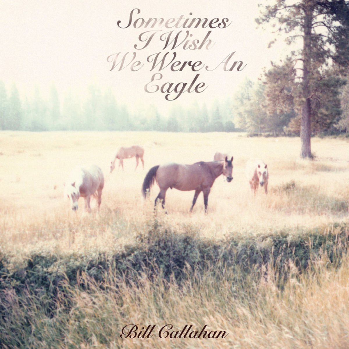 Bill Callahan – Sometimes I Wish We Were An Eagle vinyl cover