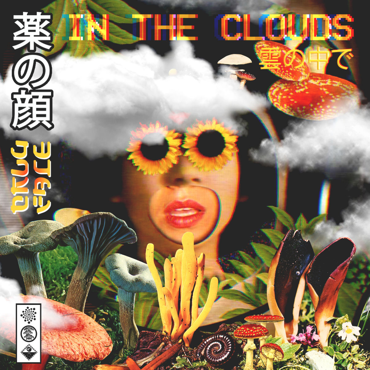 Drugface – In The Clouds vinyl record cover