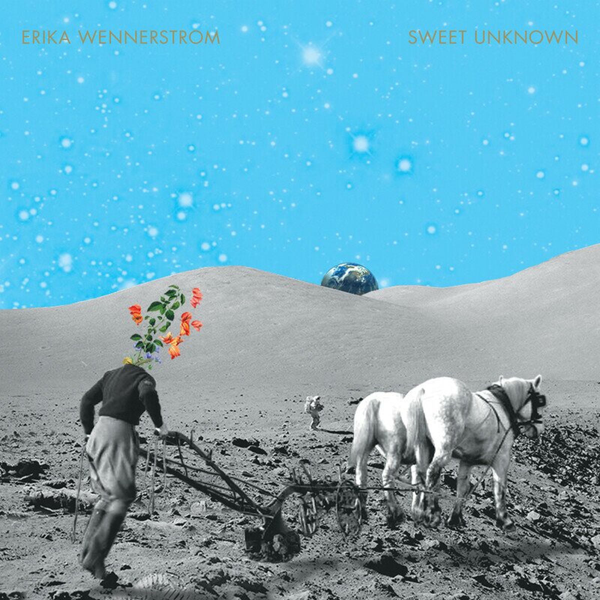 Erika Wennerstrom – Sweet Unknown vinyl record cover