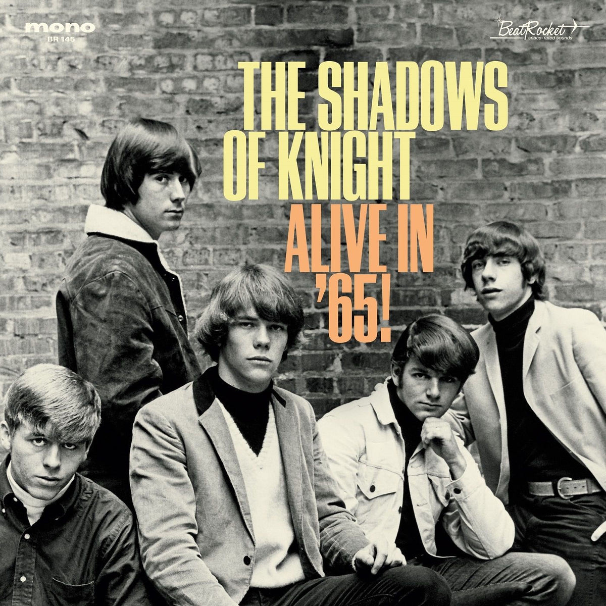 Shadows Of Knight – Alive in '65! vinyl cover