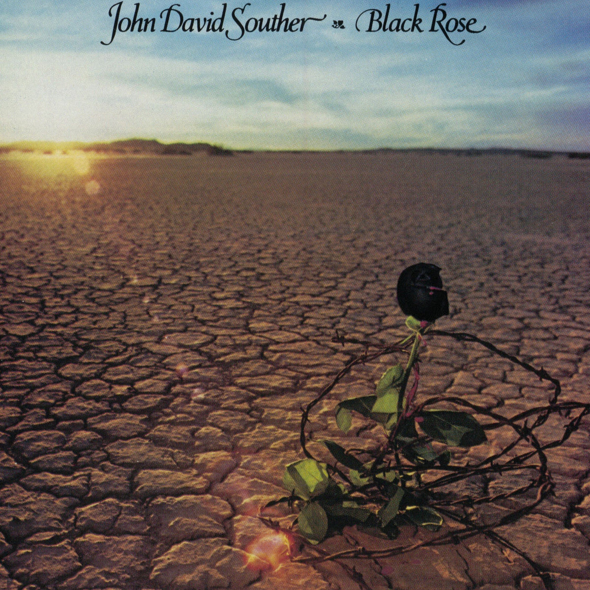 J.D. Souther – Black Rose vinyl record cover