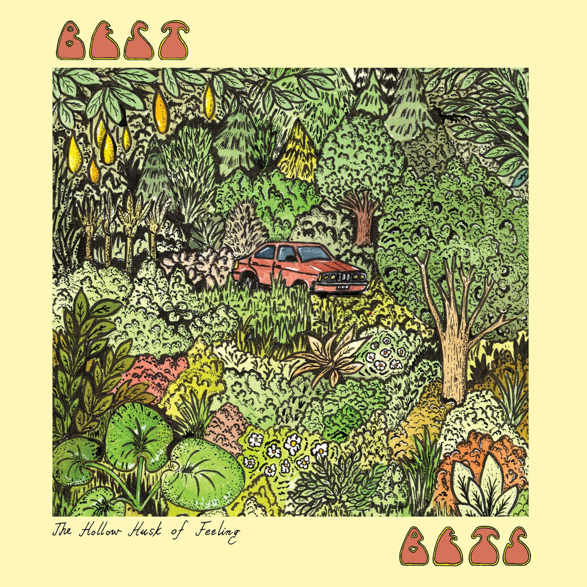 Best Bets – Hollow Husk Of Feeling vinyl record cover