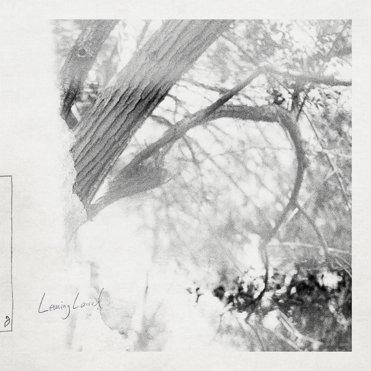 Leaving Laurel – Leaving Laurel vinyl record cover
