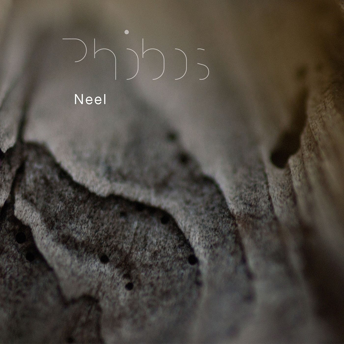 NEEL – Phobos vinyl record cover