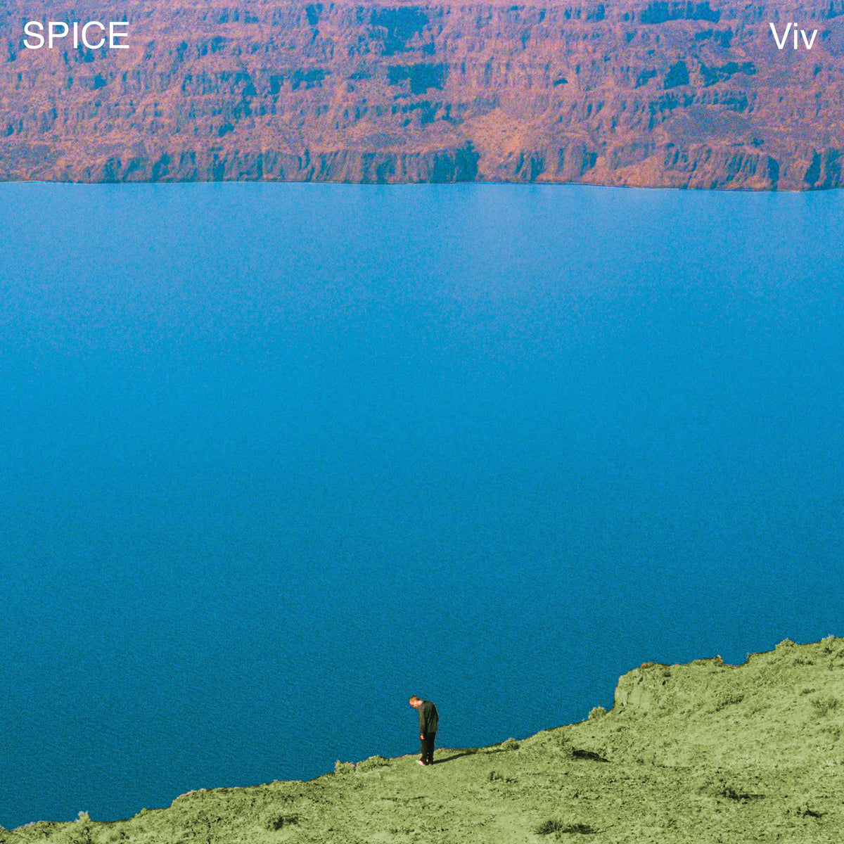 Spice – Viv vinyl cover