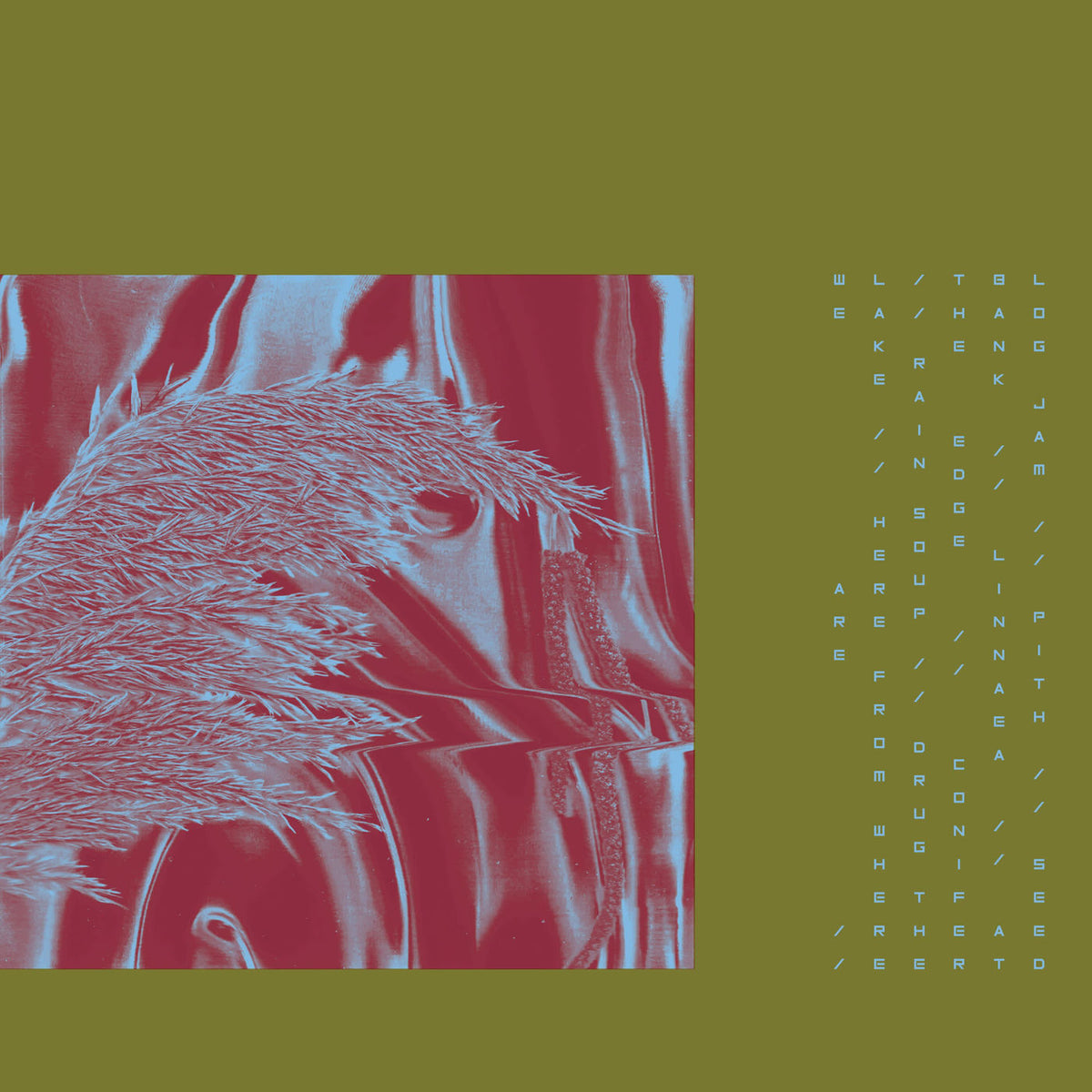 Pariah – Here from Where We Are vinyl record cover