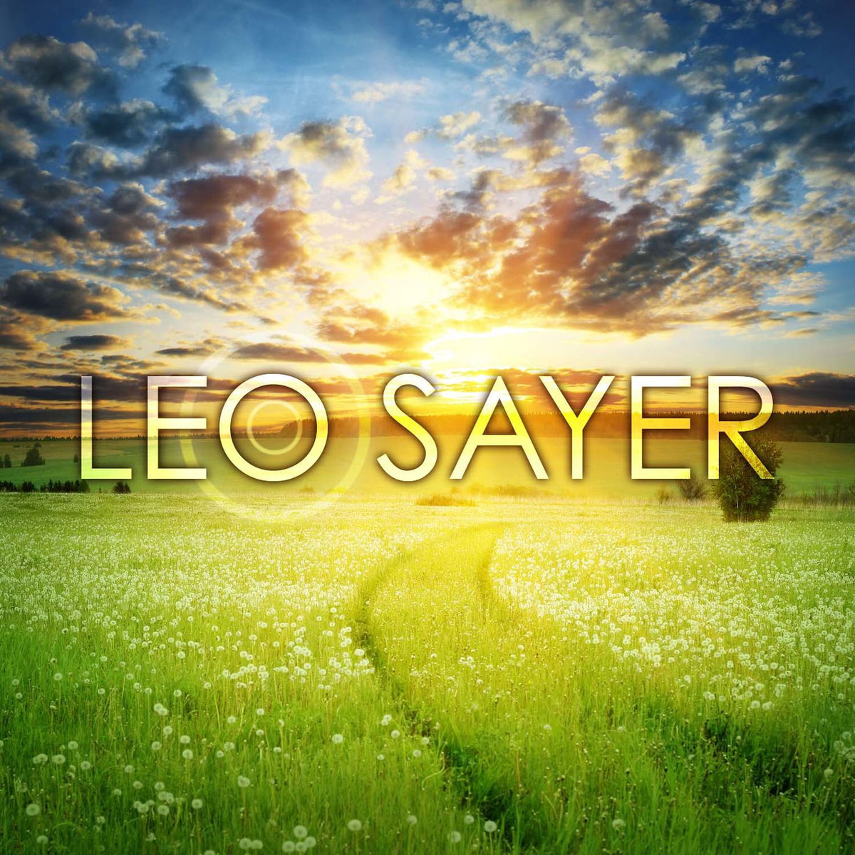 Leo Sayer – Leo Sayer vinyl record cover
