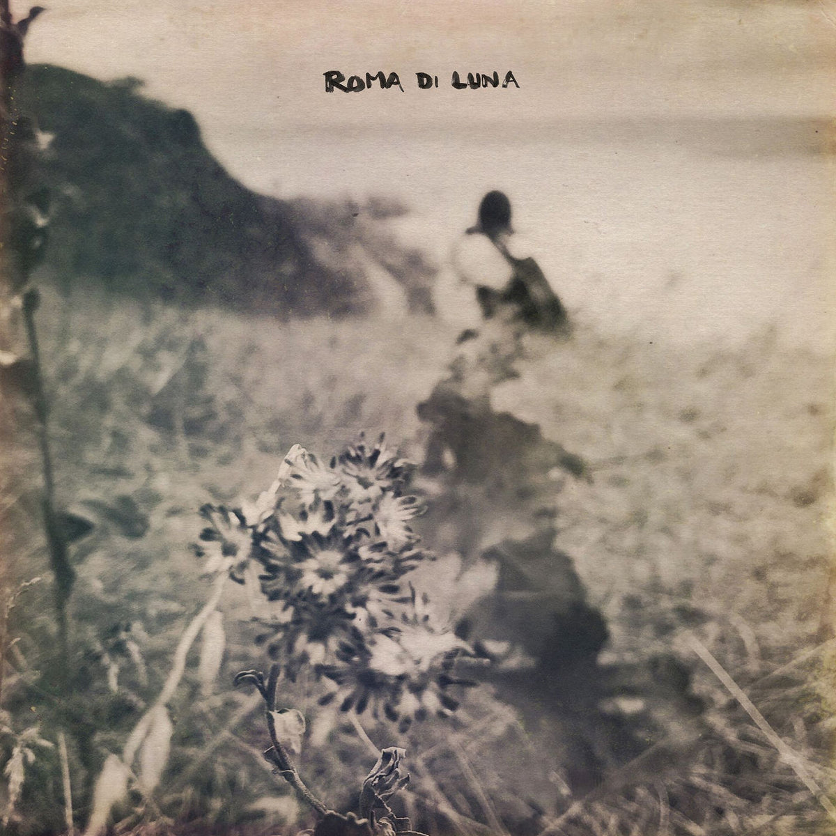 Roma Di Luna – We Were Made To Forgive vinyl cover