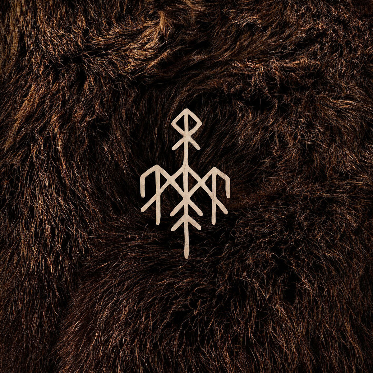 Wardruna – Birna vinyl record cover
