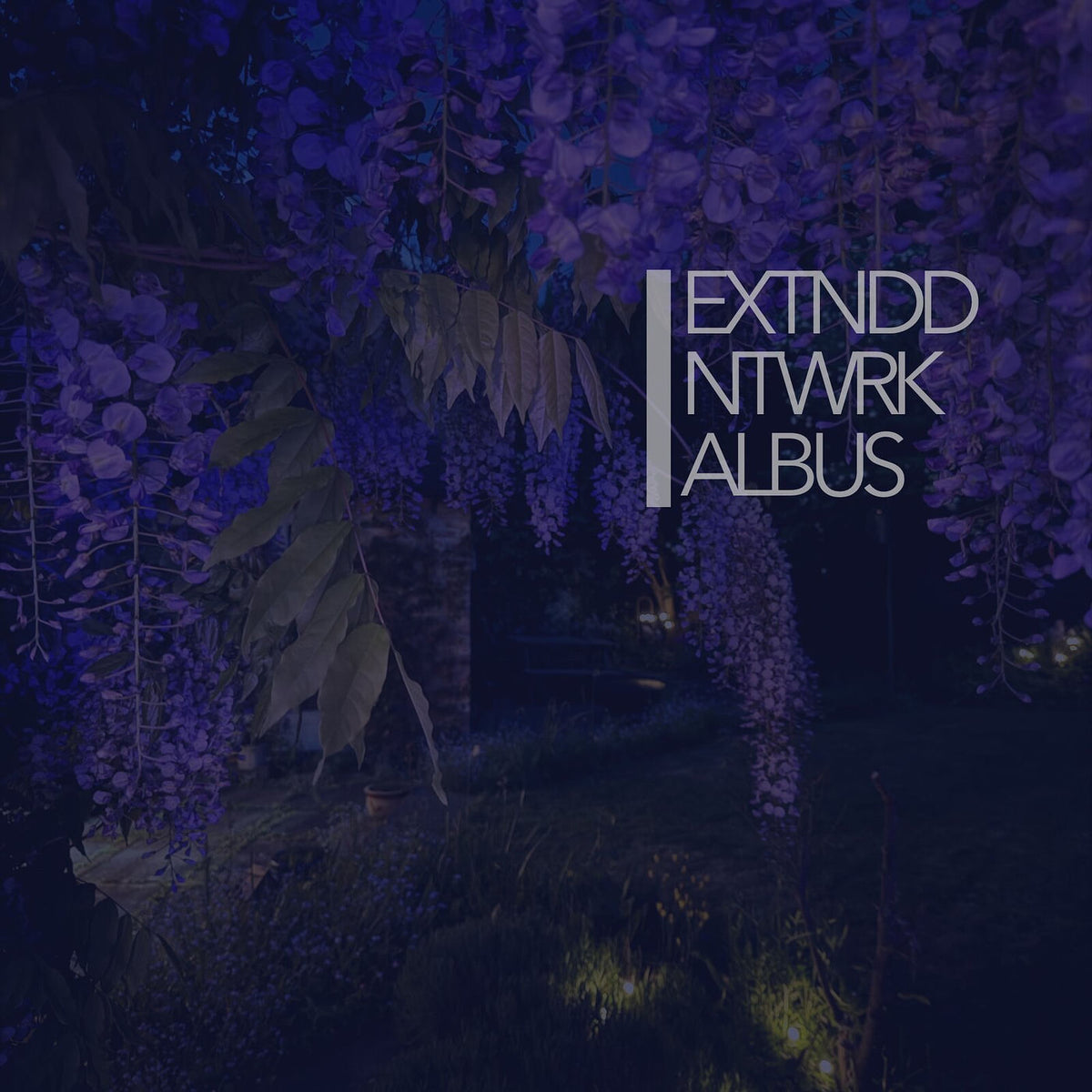 extnddntwrk – Albus vinyl record cover