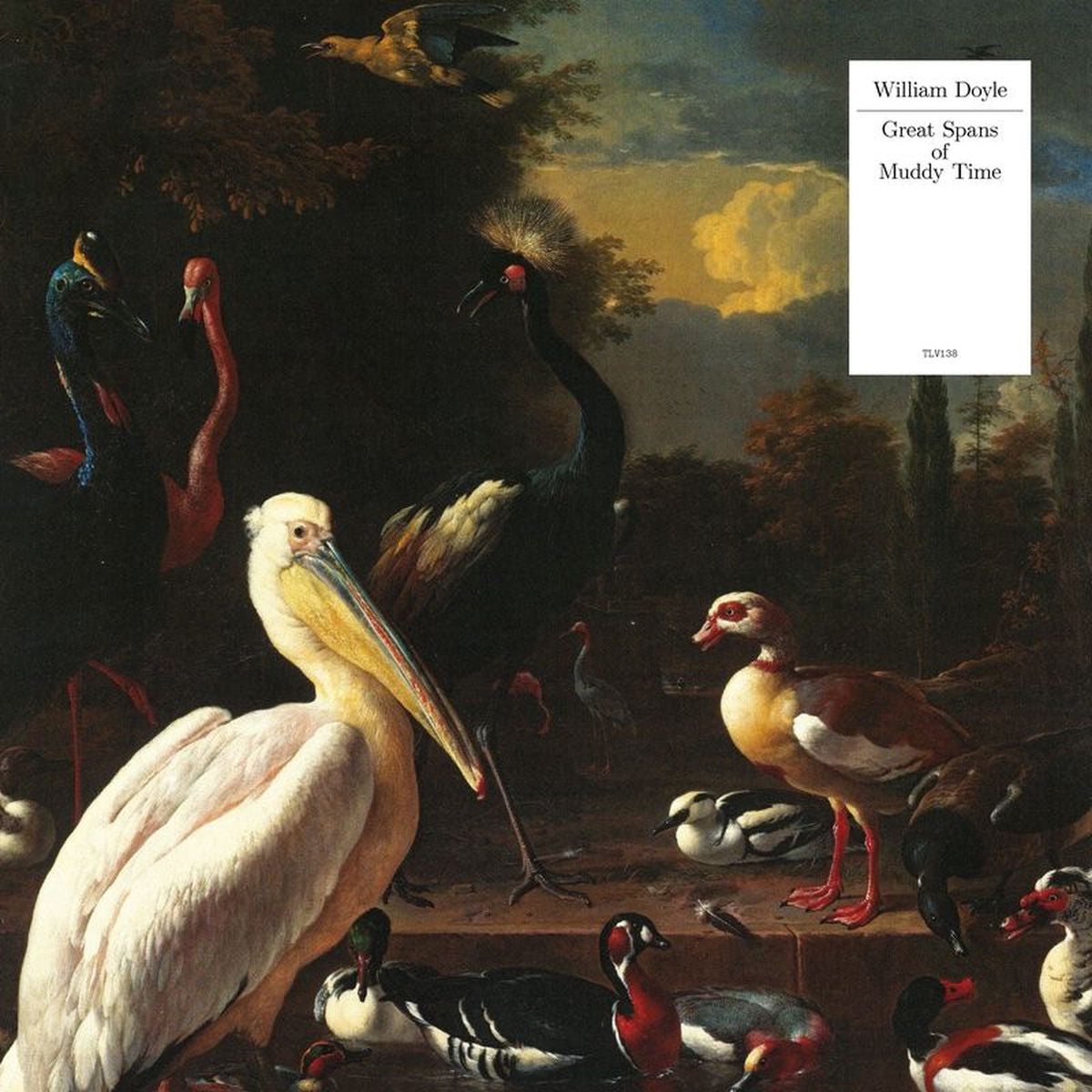 William Doyle – Great Spans of Muddy Time vinyl record cover