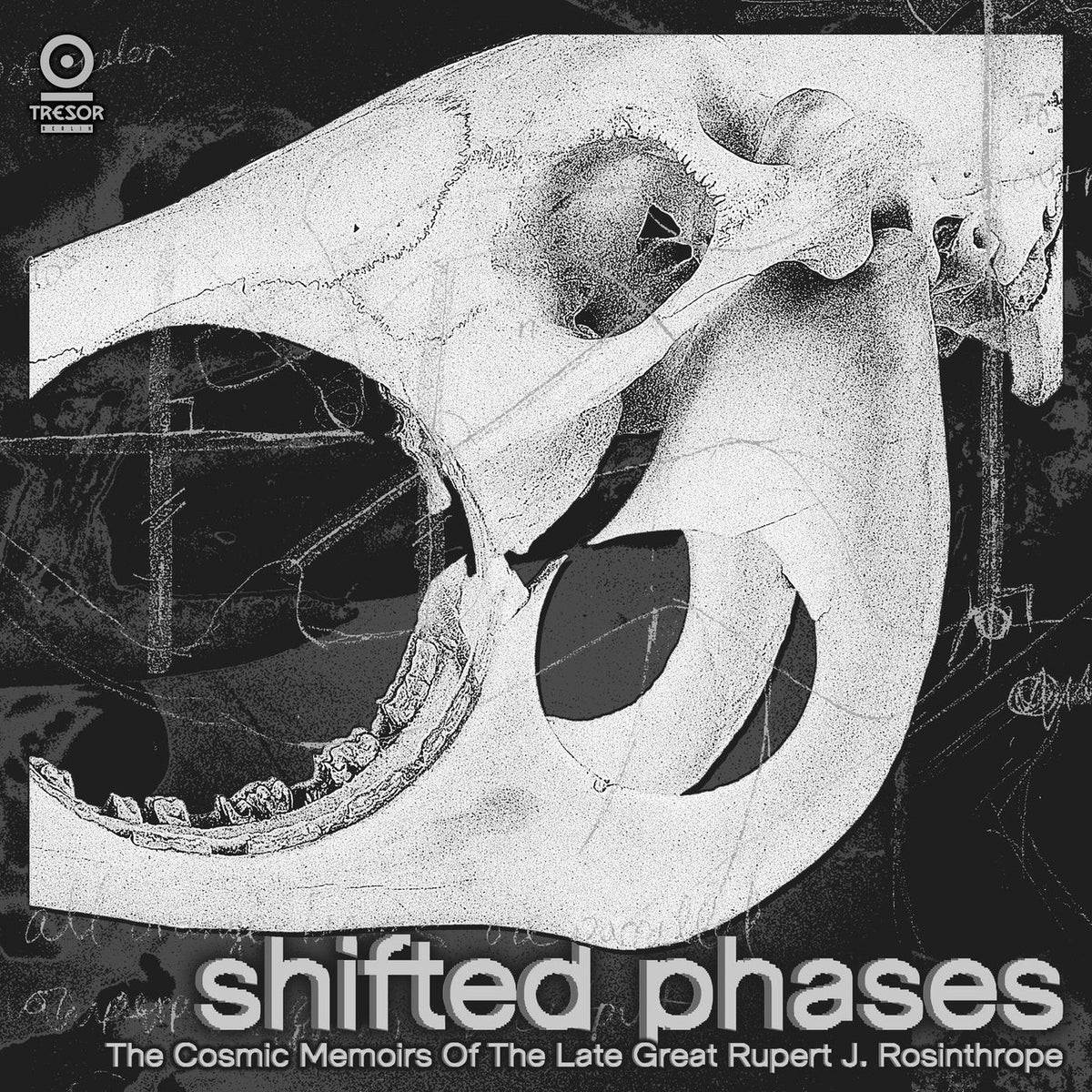 Shifted Phases – The Cosmic Memoirs of the Late Great Rupert J. Rosinthrope vinyl record cover