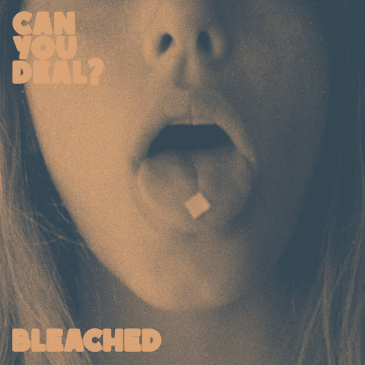 Bleached – Can You Deal vinyl record cover