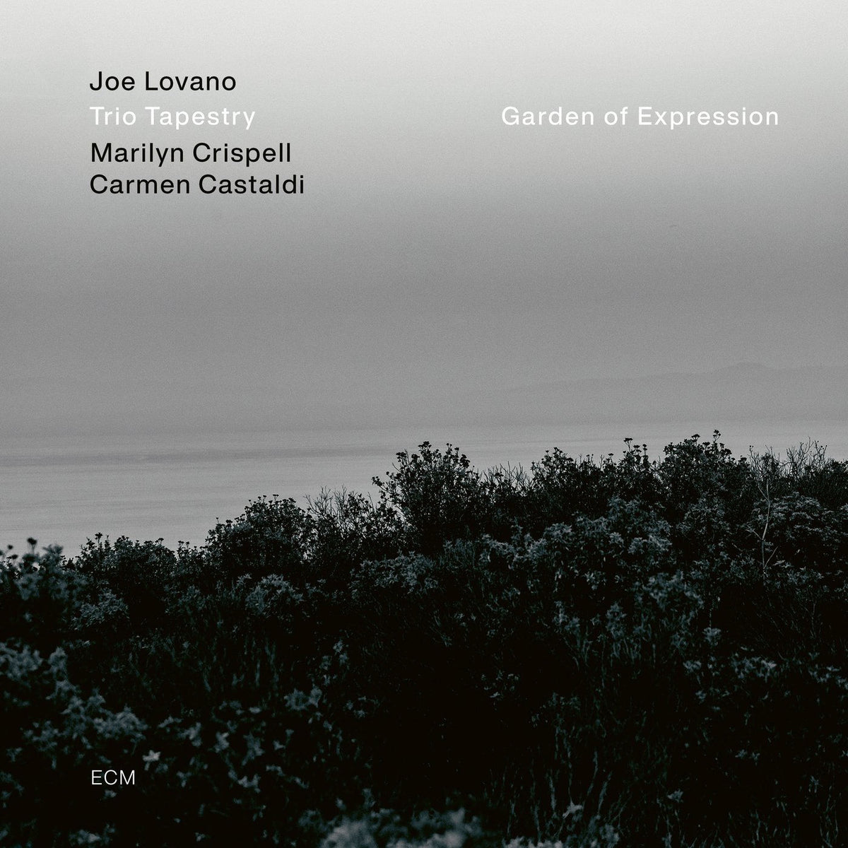 Joe Lovano – Garden of Expression vinyl record cover