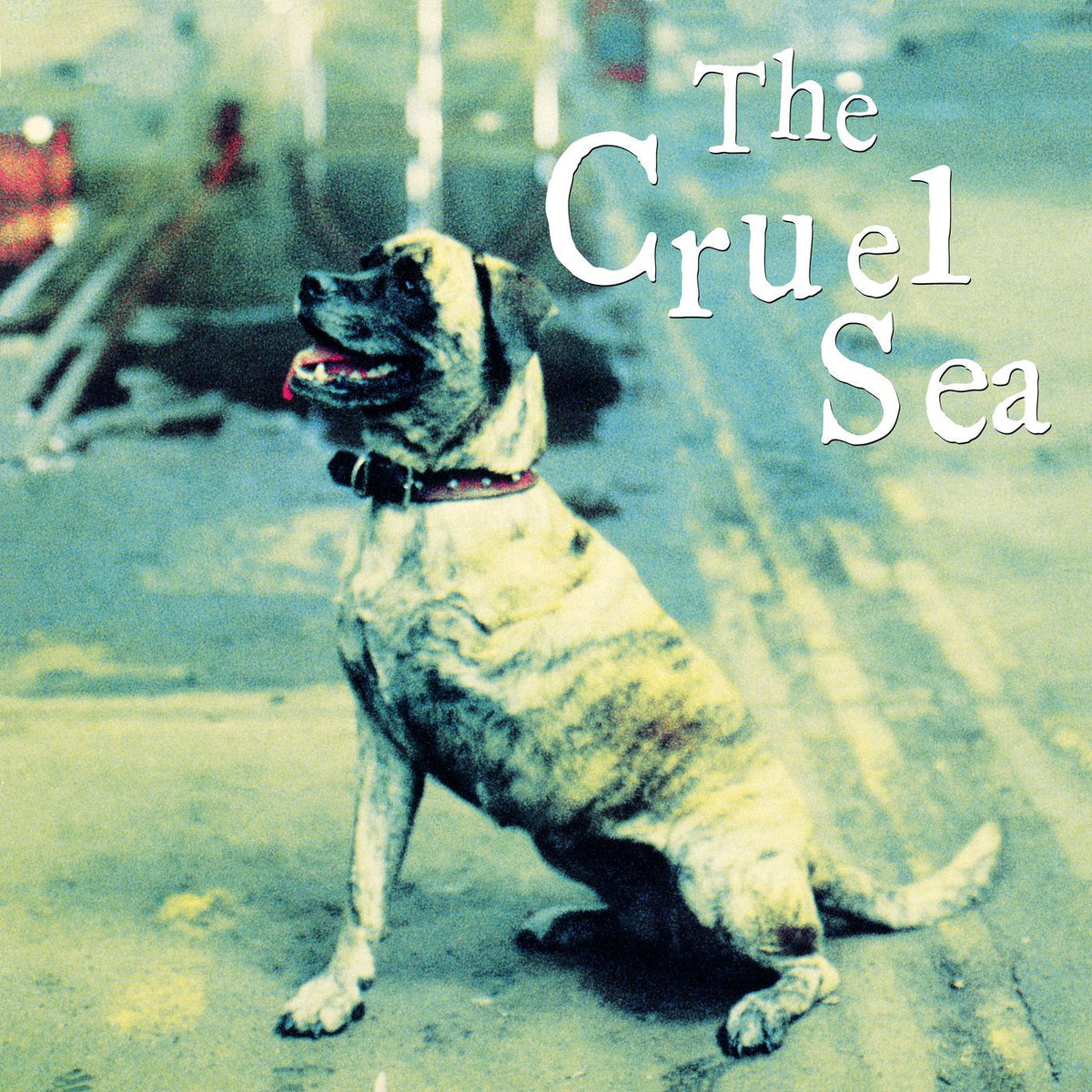 Cruel Sea, The – Three Legged Dog – 30Th Anniversary Edition 2Lp Vinyl — album cover