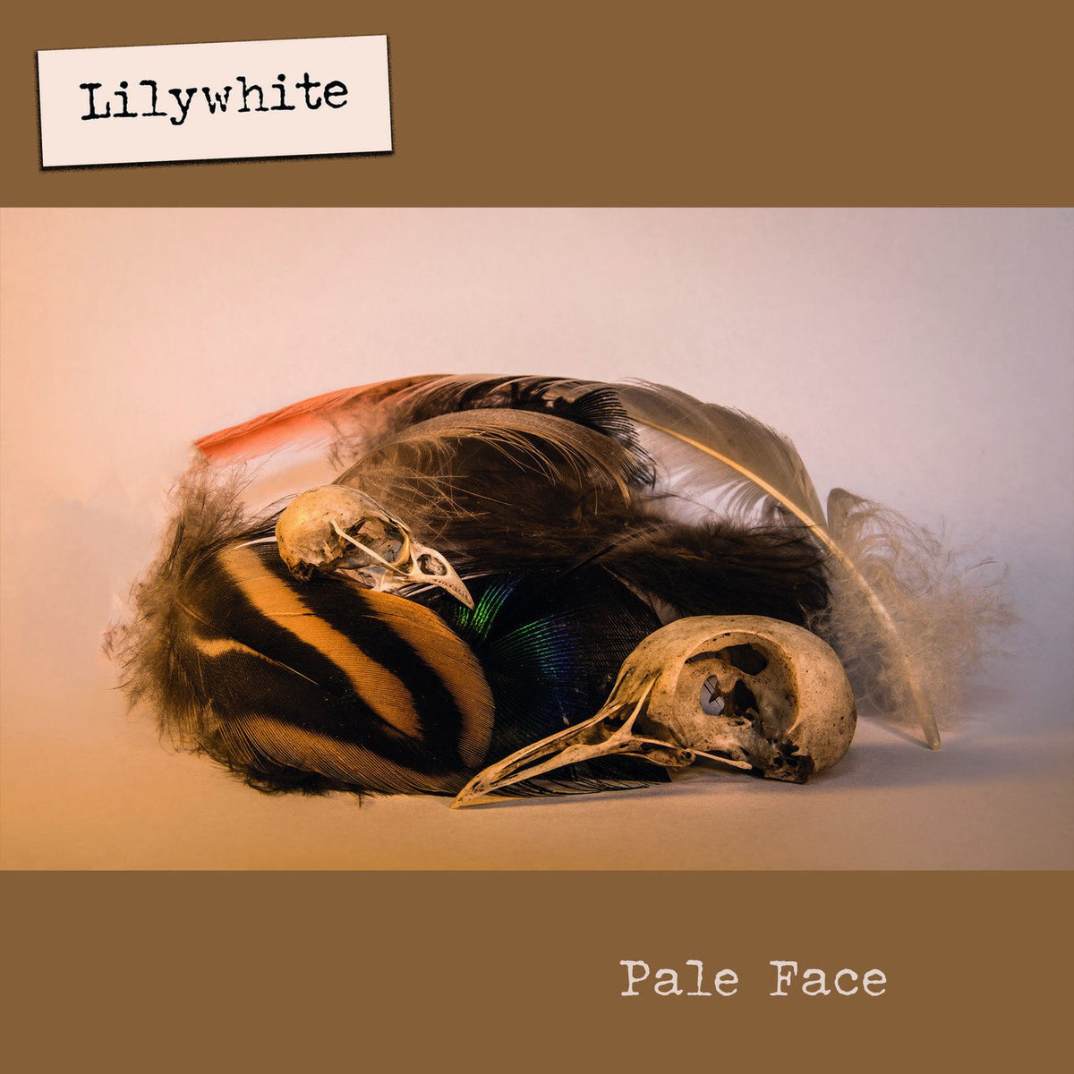 Lilywhite – Pale Face vinyl record cover