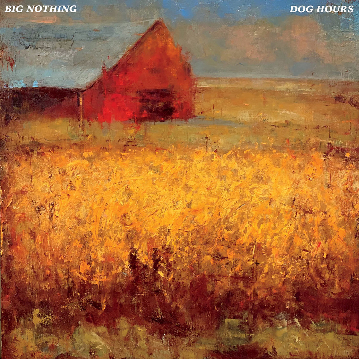 Big Nothing – Dog Hours (Transparent Blue Vinyl) vinyl record cover