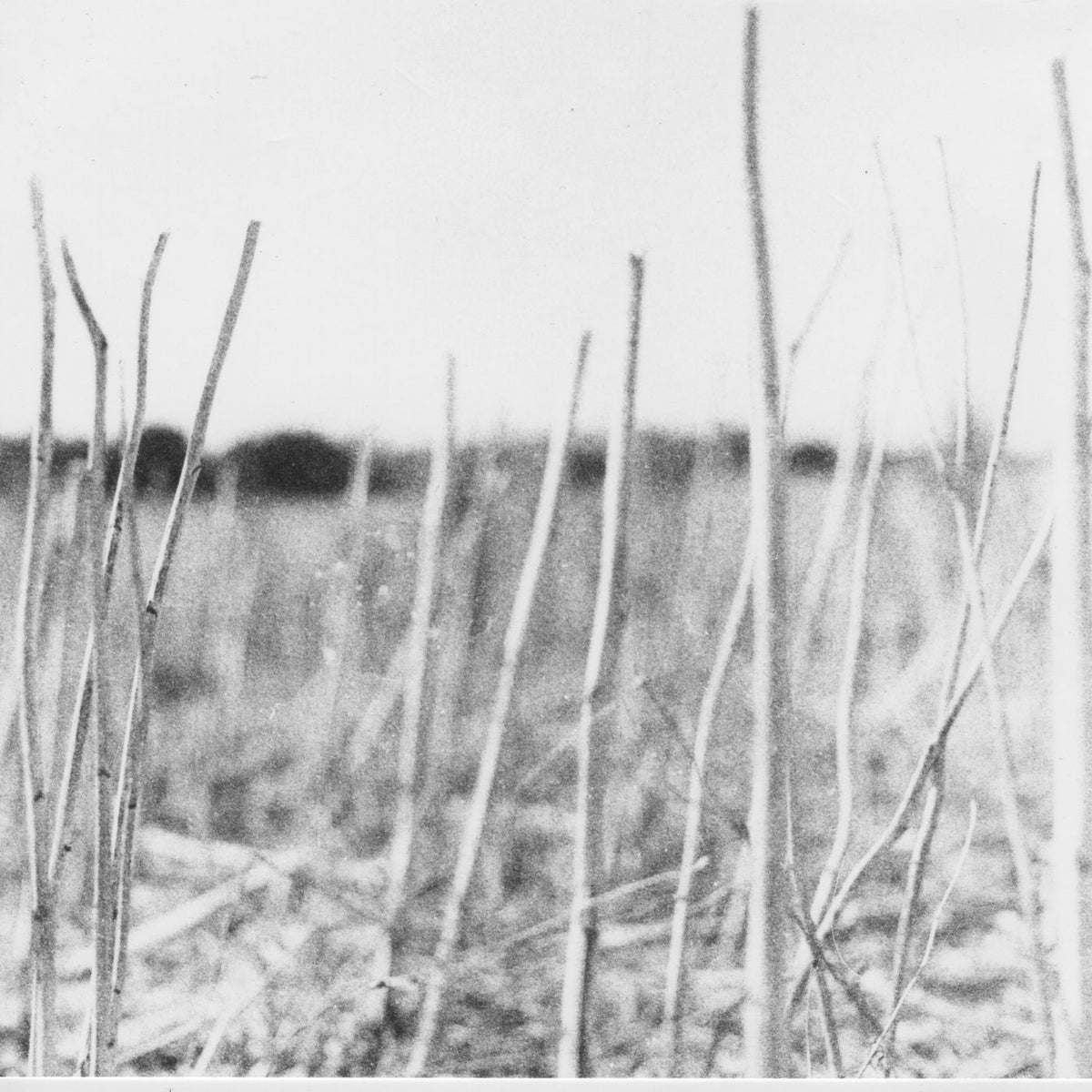 Recondite – On Acid vinyl cover