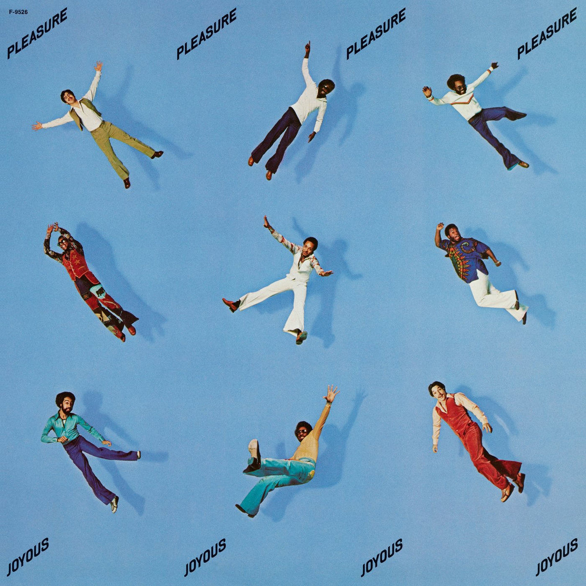 Pleasure – Joyous vinyl record cover