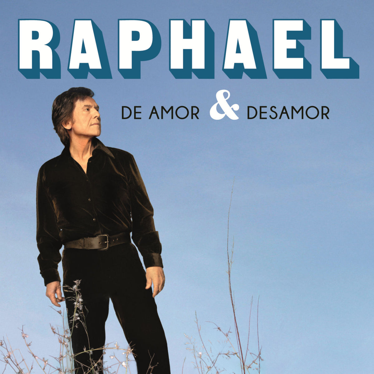 Raphael – De Amor Y Desamor [LP] vinyl record cover