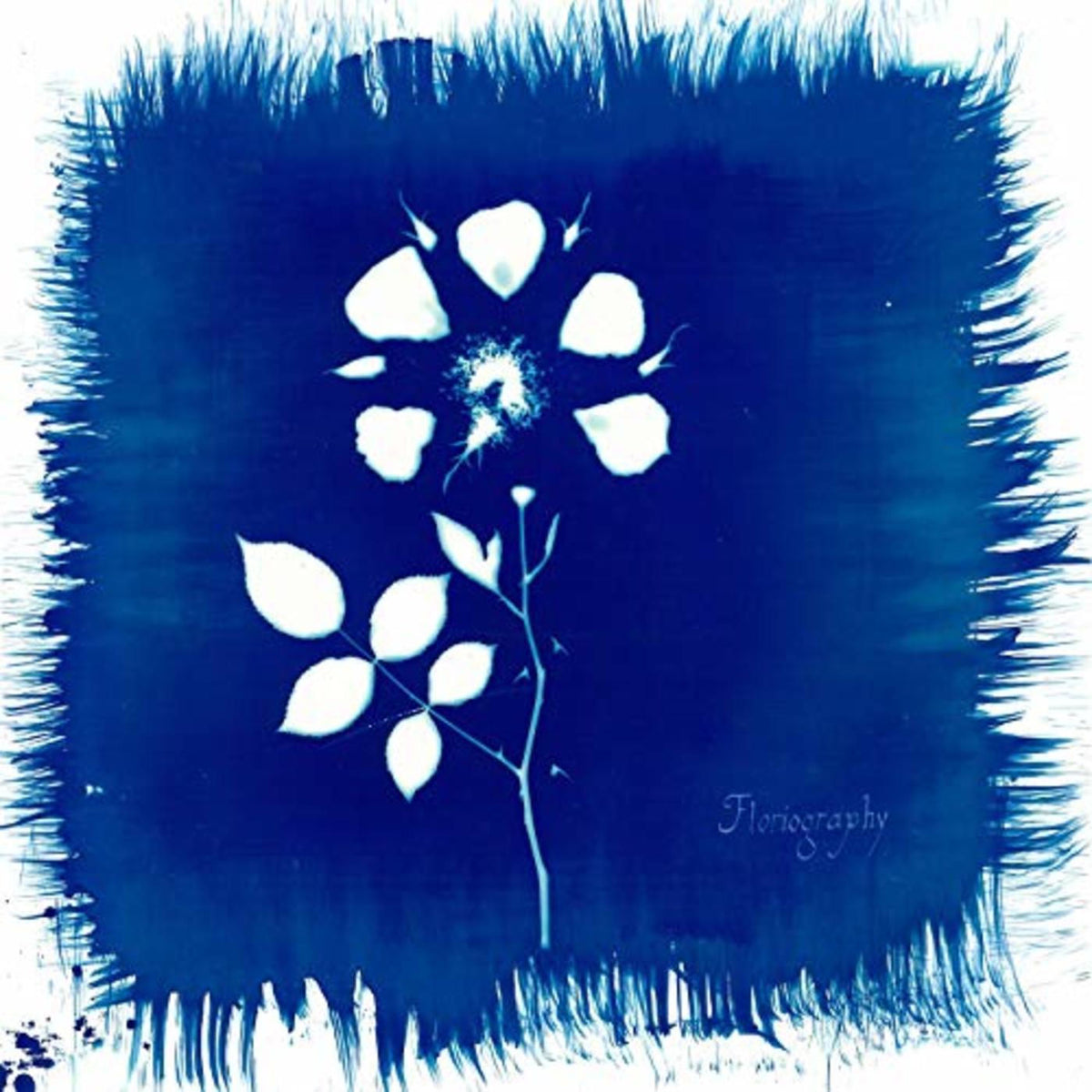 Painted Zeros – Floriography vinyl cover