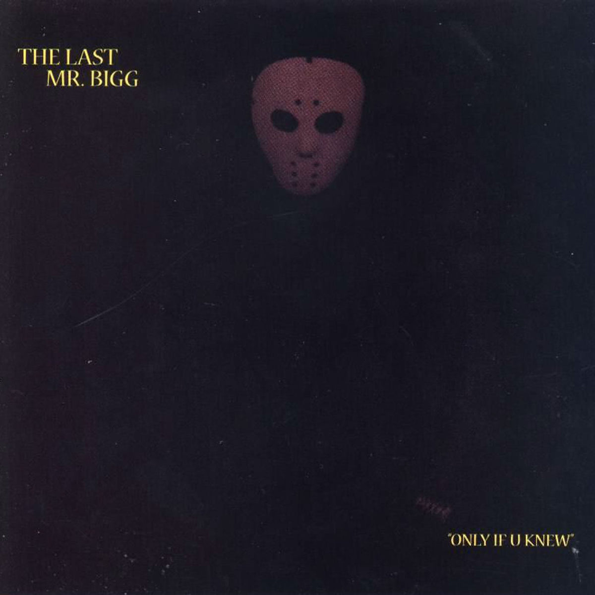 Last Mr Bigg – Only If U Knew vinyl record cover