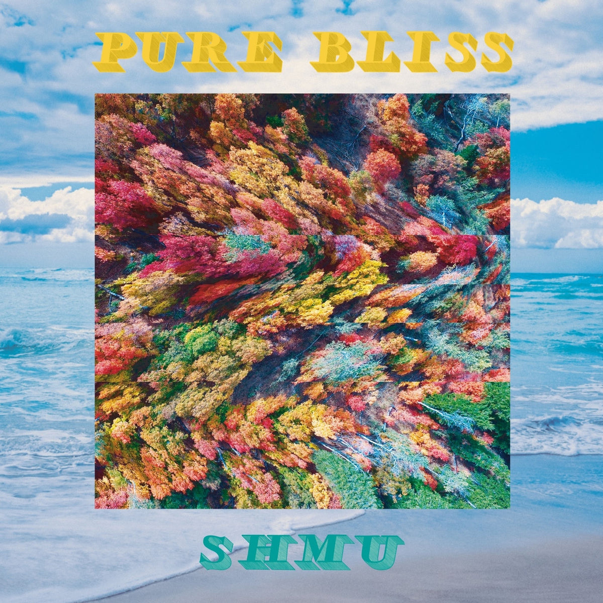 Shmu – Pure Bliss vinyl record cover