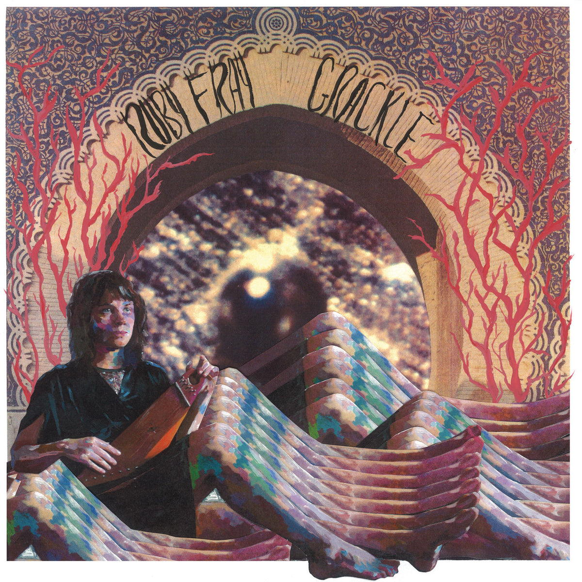 Ruby Fray – Grackle vinyl record cover