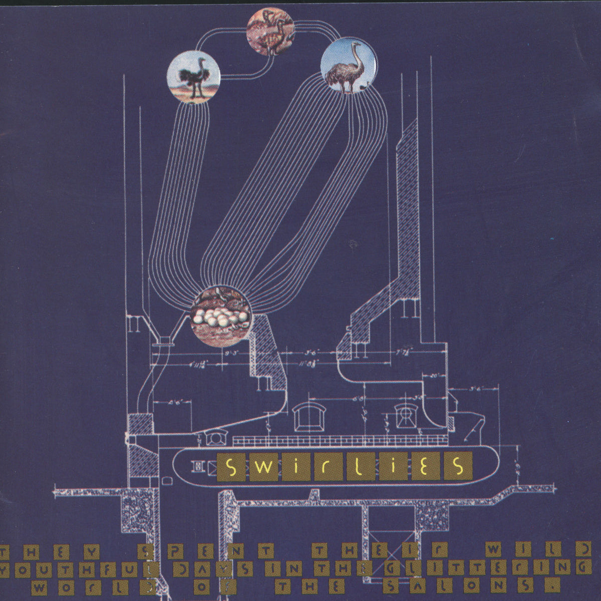 Swirlies – They Spent Their Wild Youthful Days In The Glittering World Of The Salons vinyl record cover
