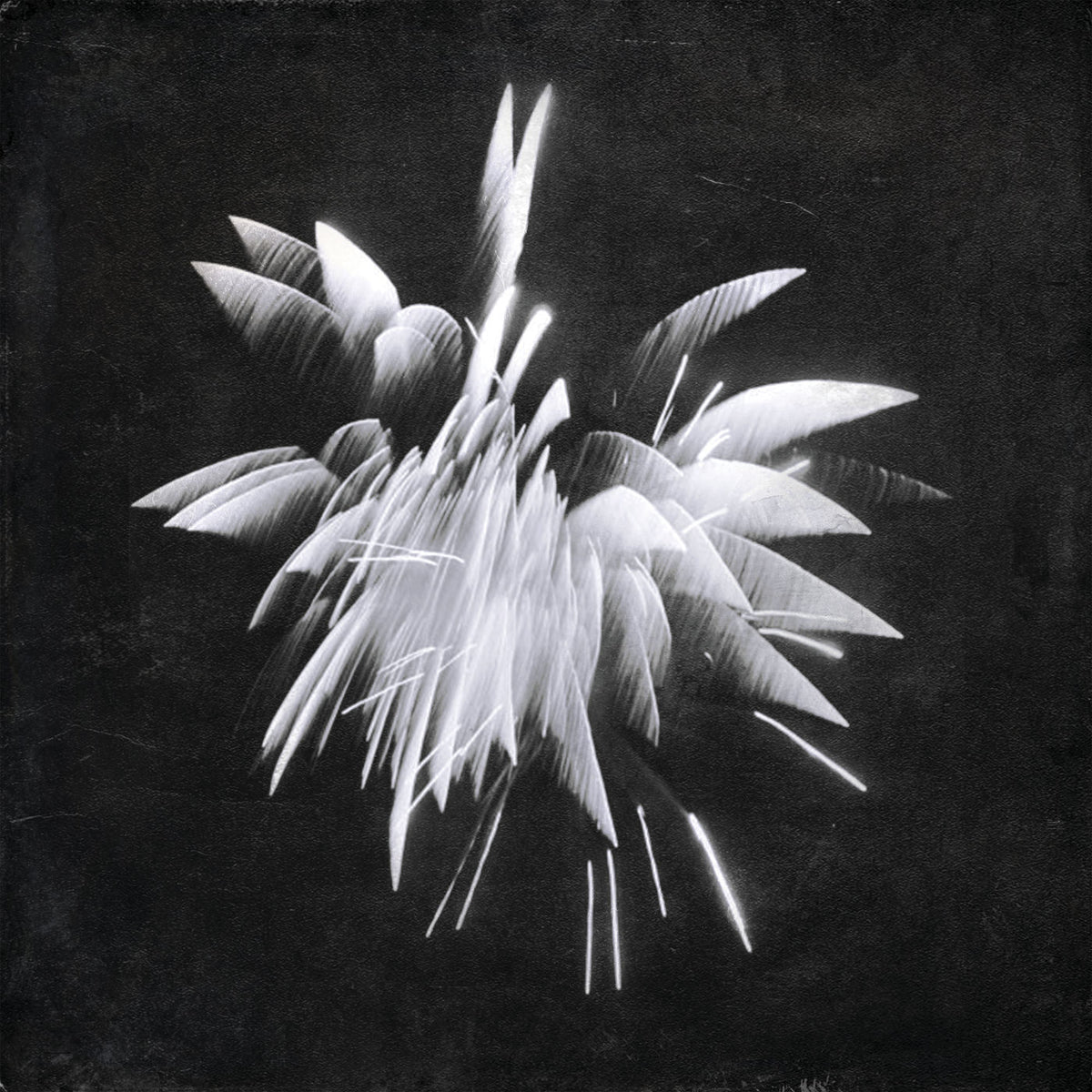 Brent Windler – New Morning Howl vinyl record cover