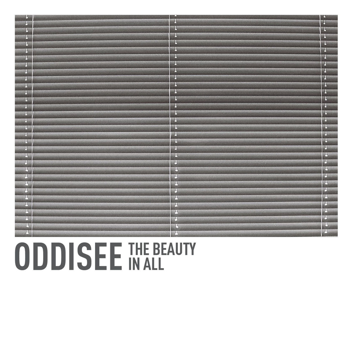 Oddisee – The Beauty In All vinyl cover