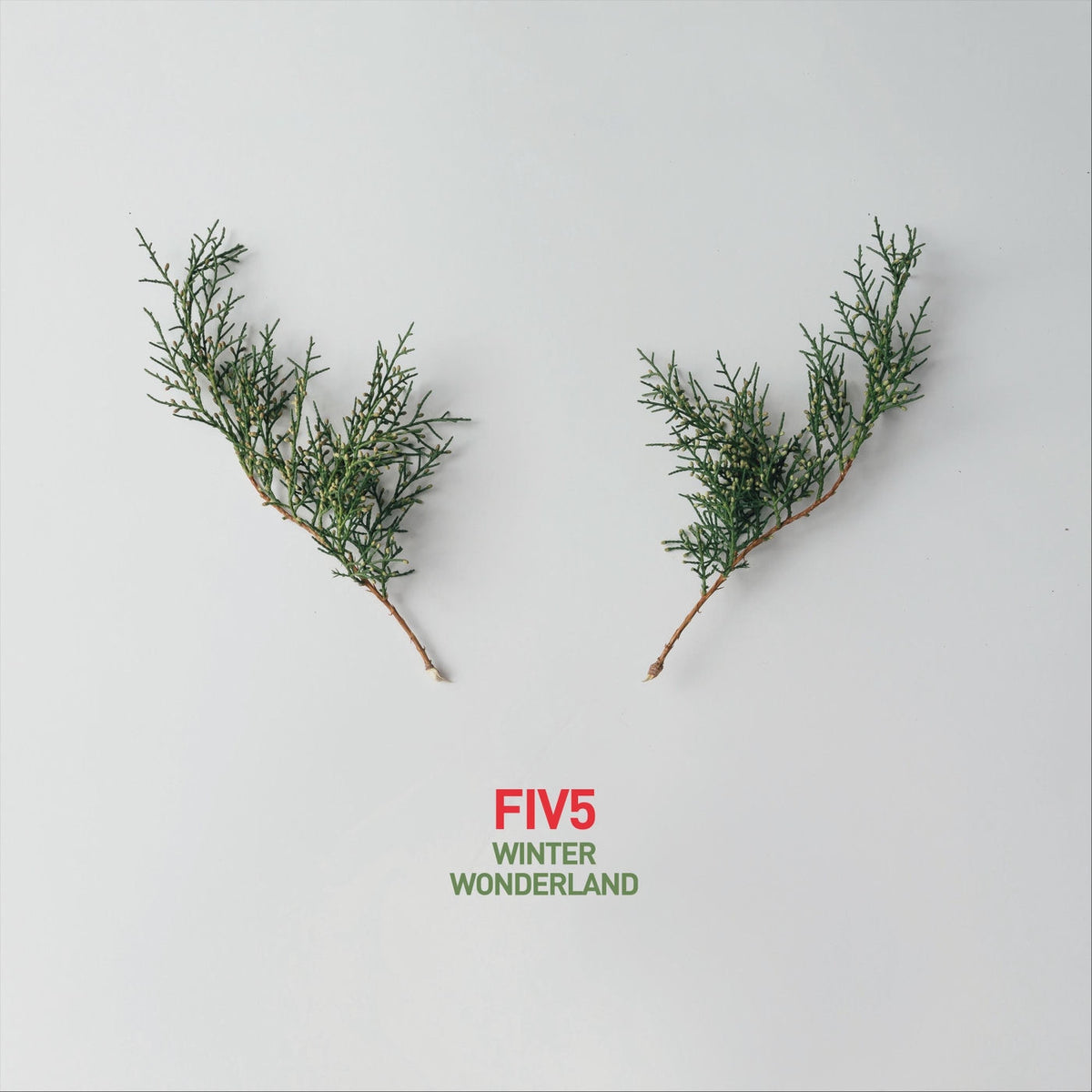 FIV5 – Winter Wonderland vinyl record cover