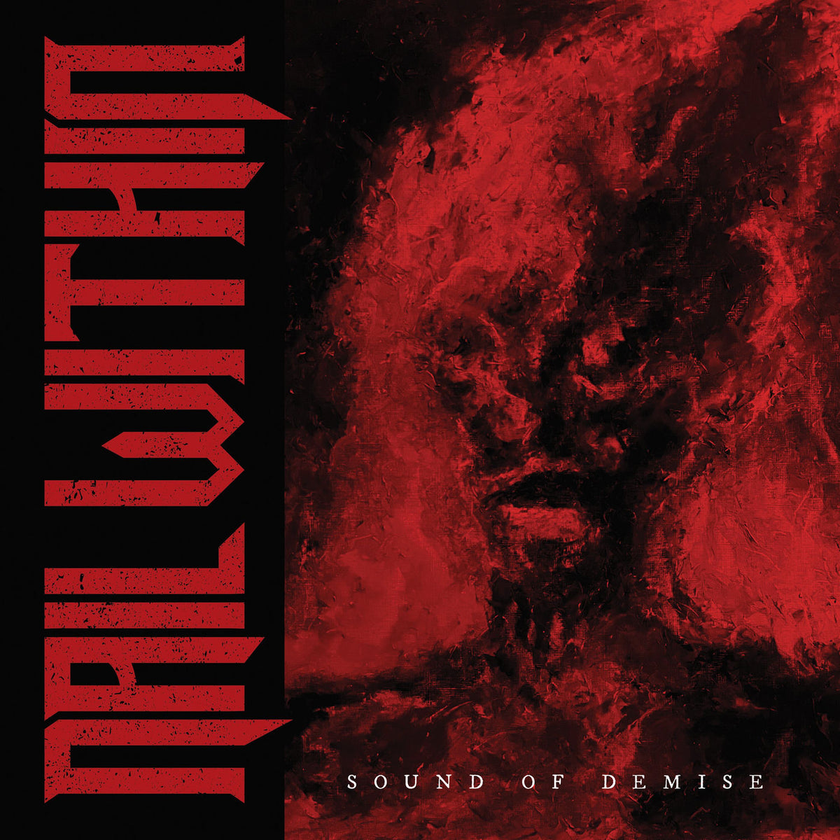 Nail Within – Sound of Demise (Coloured Vinyl) vinyl record cover