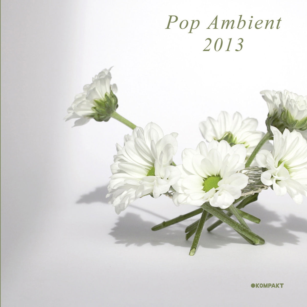 Various Artists – Pop Ambient 2013 vinyl record cover
