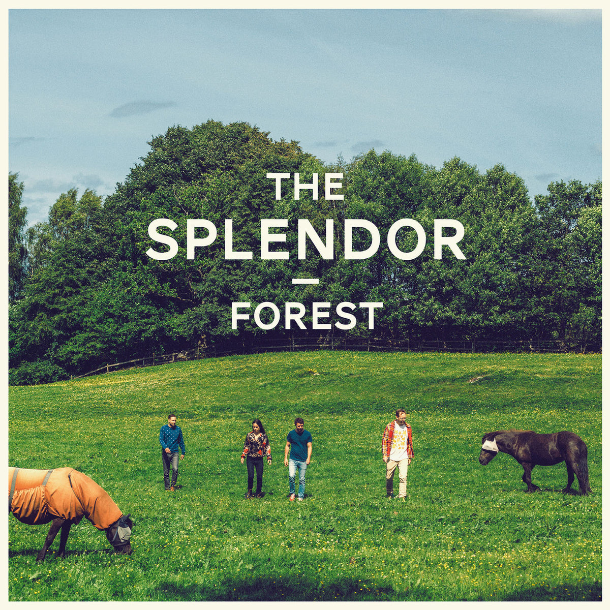 Splendor – Forest vinyl record cover