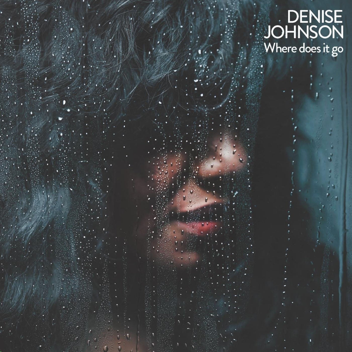 Denise Johnson – Where Does It Go vinyl record cover