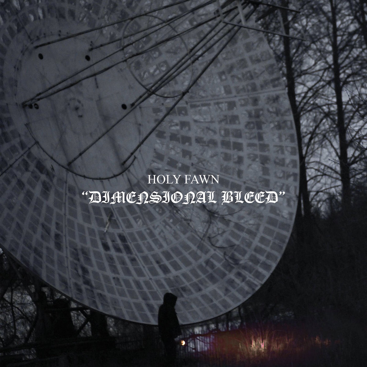 Holy Fawn – Dimensional Bleed vinyl cover