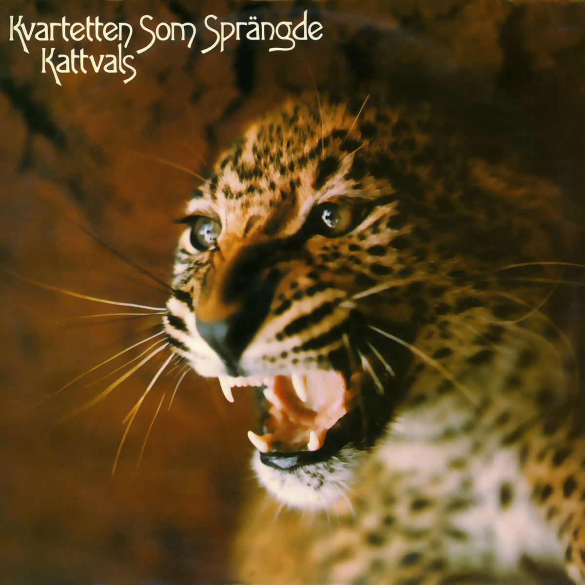 Kvartetten som sprängde – Kattvals vinyl cover