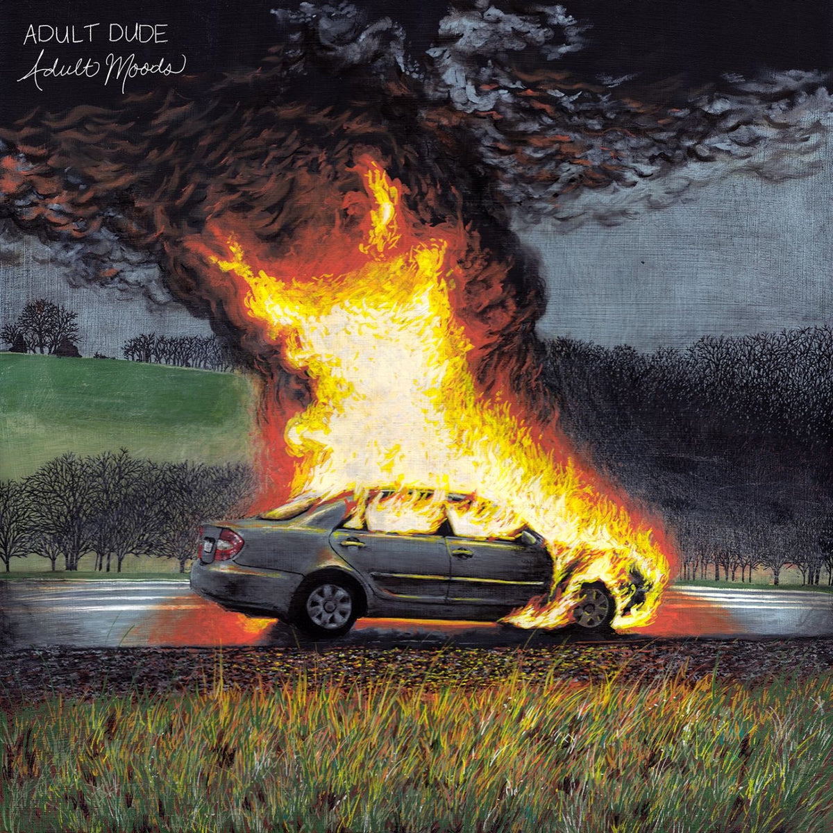 Adult Dude – Adult Moods vinyl cover