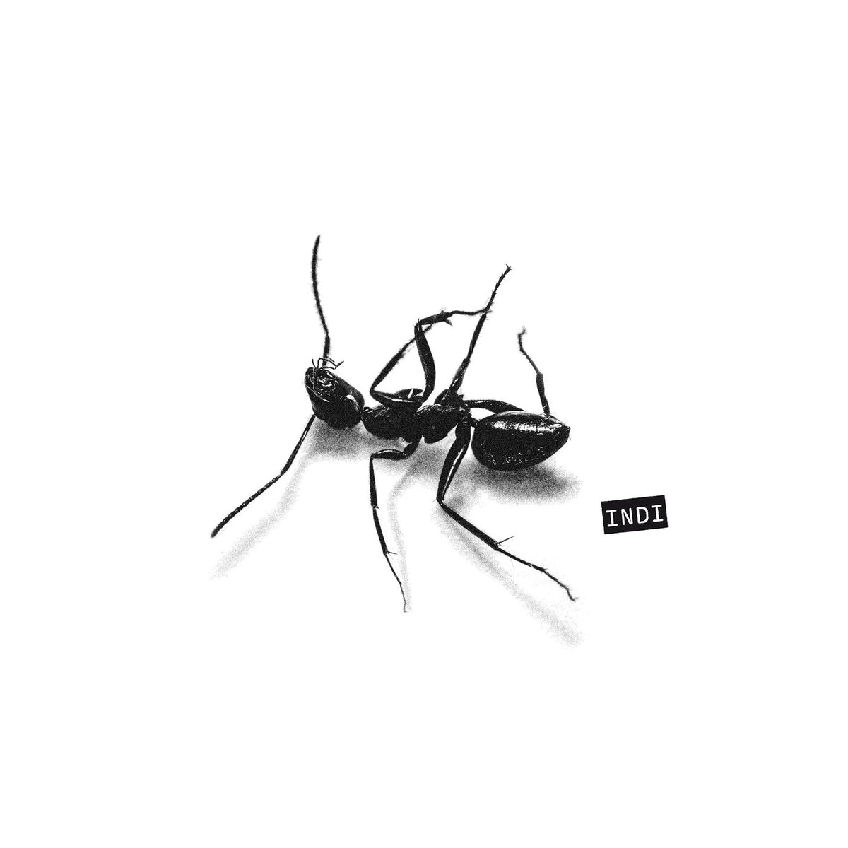 Gazzelle – INDI vinyl record cover