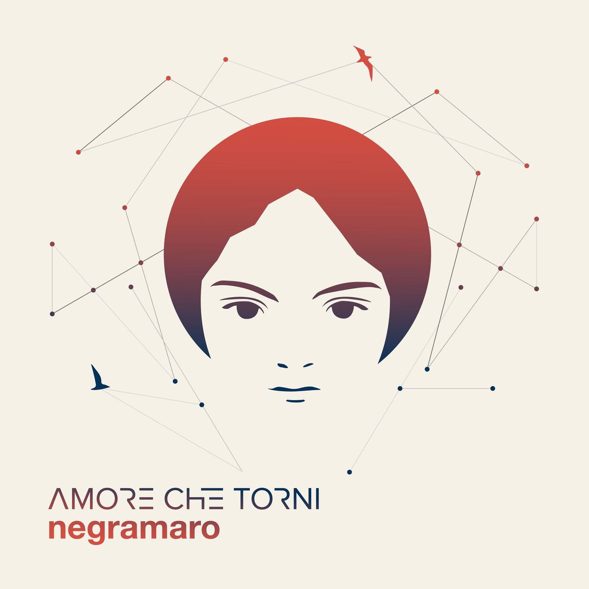 Negramaro – Amore Che Torni vinyl record cover