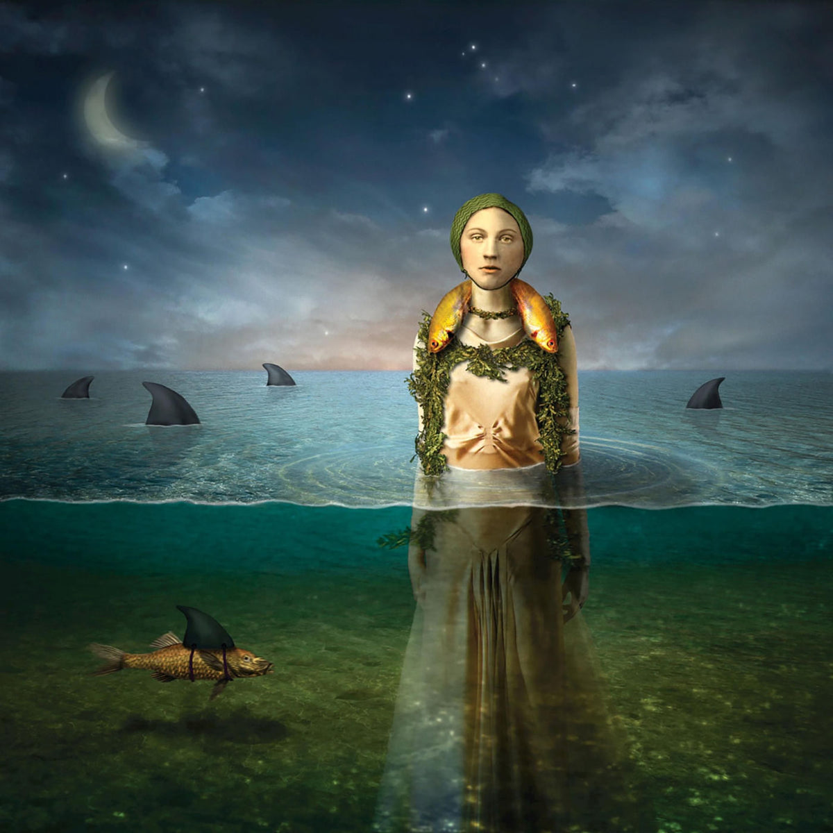 The Bled – Found In The Flood vinyl cover