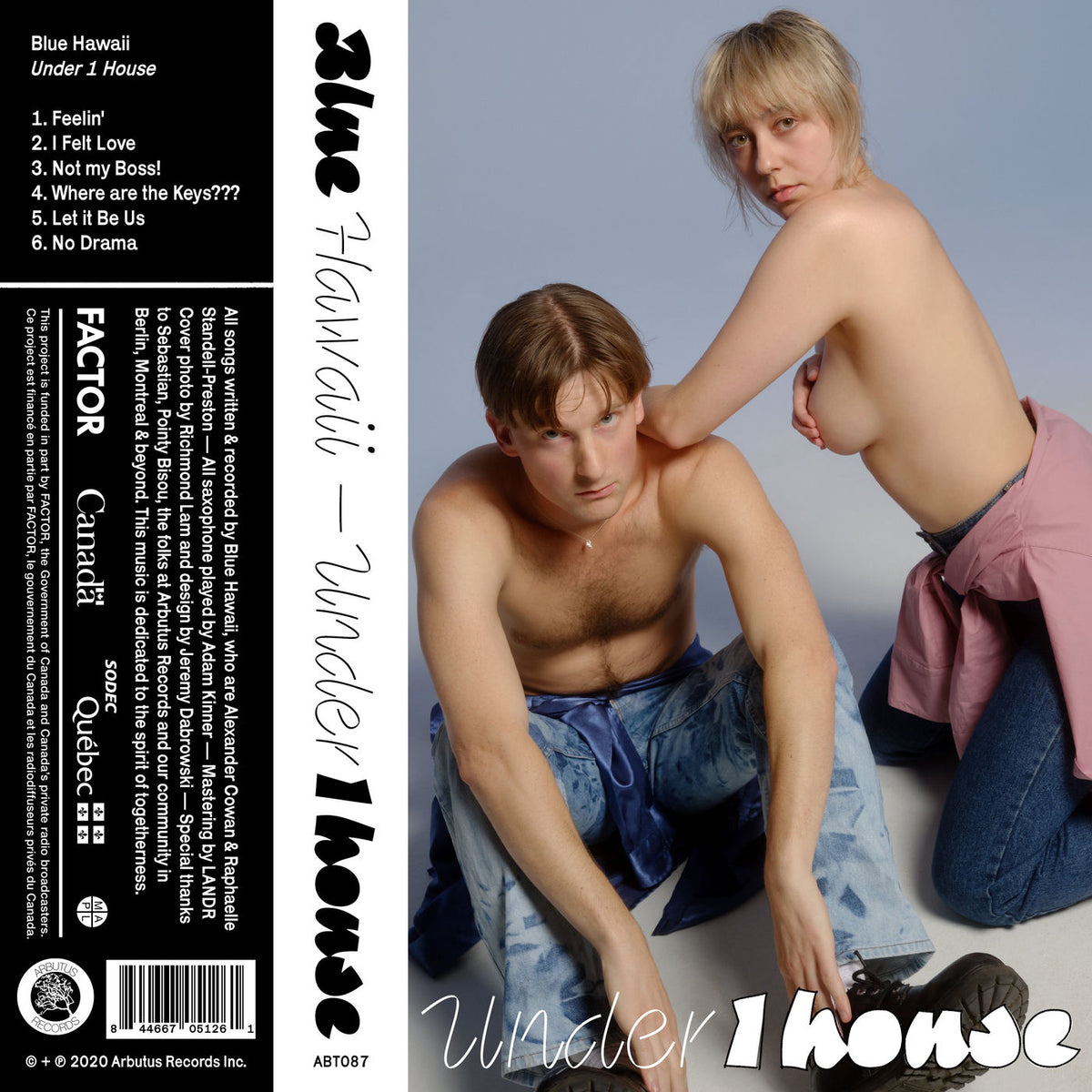 Blue Hawaii – Under 1 House vinyl cover