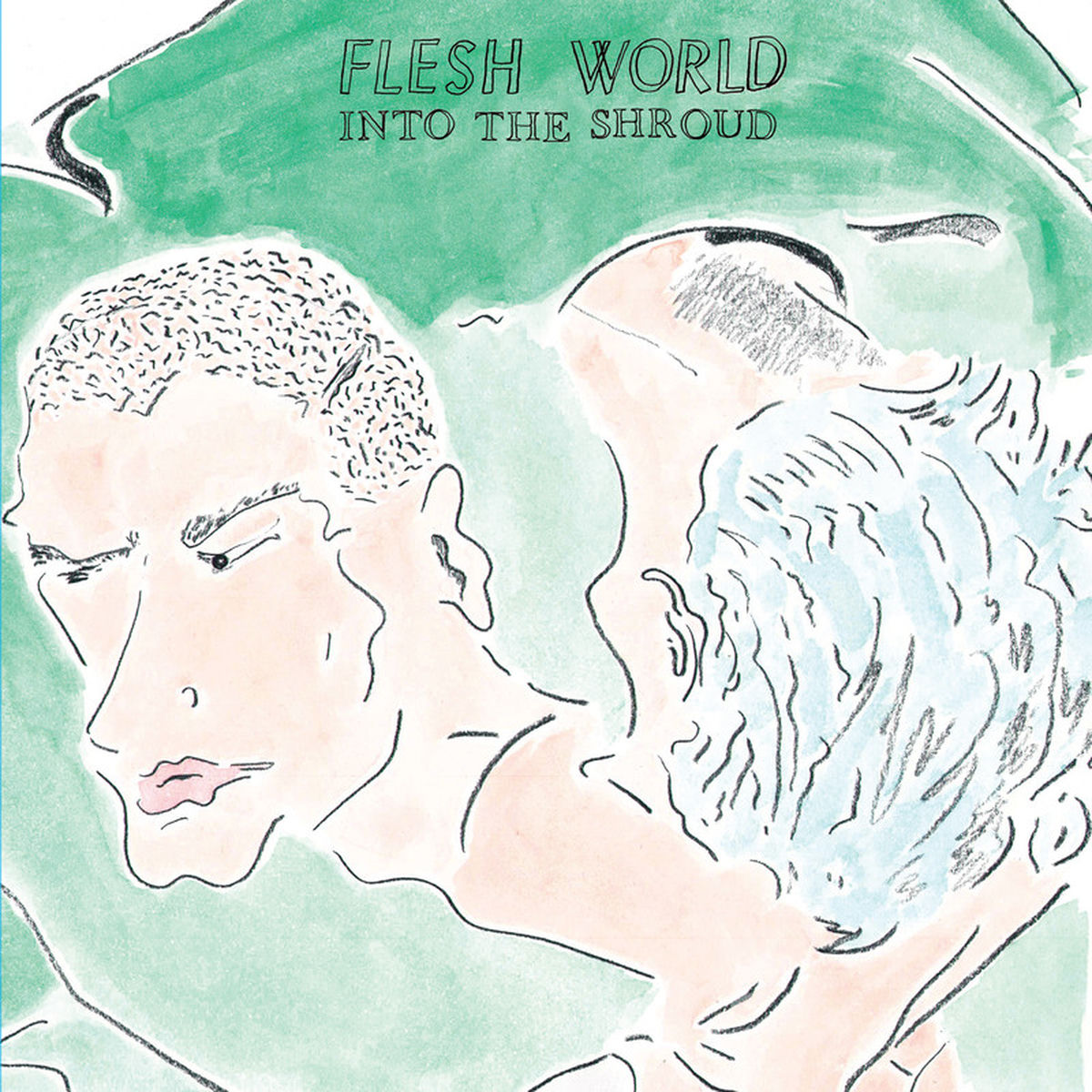 Flesh World – Into The Shroud vinyl record cover