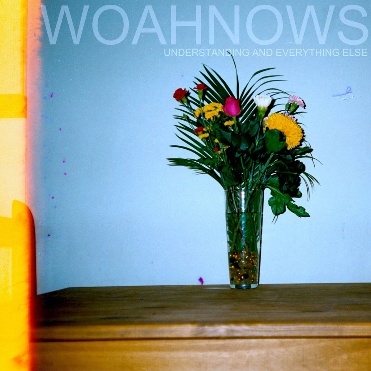 Woahnows – Understanding and Everything Else vinyl record cover