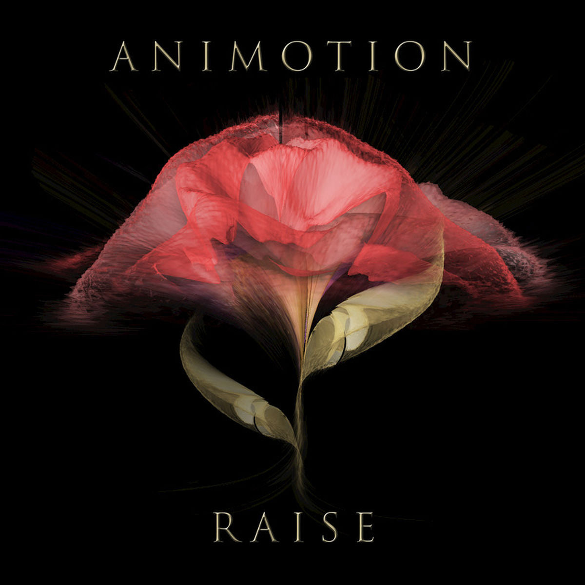 Animotion – Raise Your Expectations vinyl cover