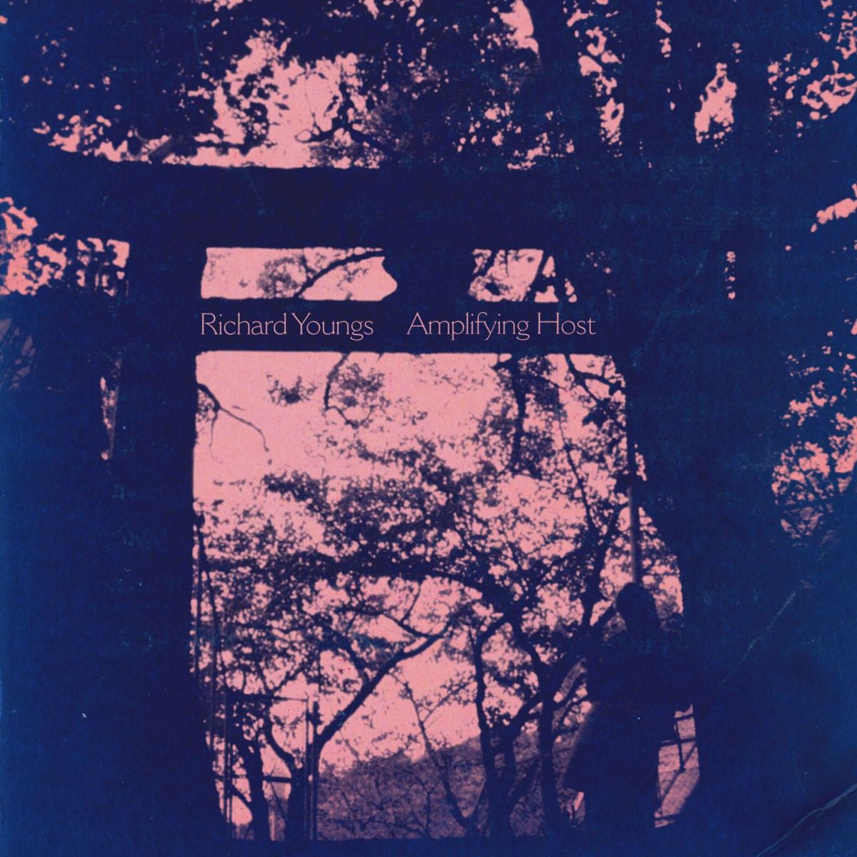 Richard Youngs – Amplifying Host vinyl cover