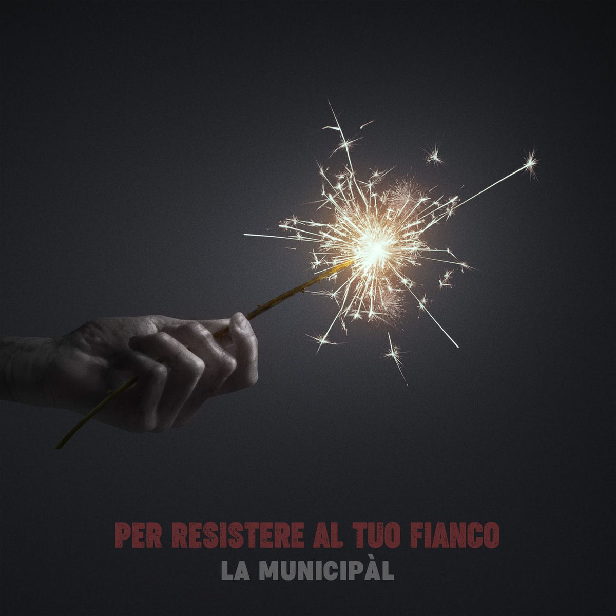 La Municipal – Per Resistere Al Tuo Fianco vinyl record cover